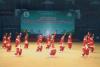 Taichi made in Binh Dinh helps promote traditional martial arts
