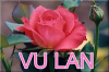 VU LAN 365